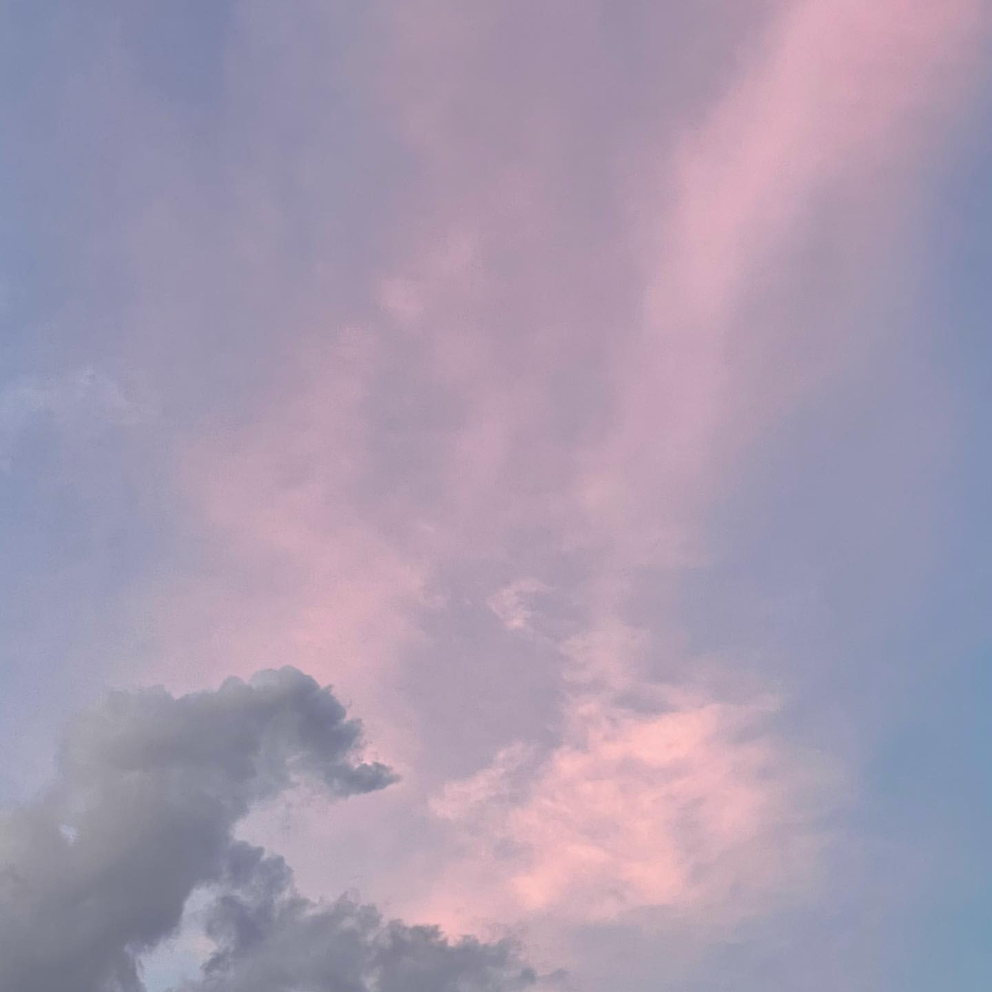 2021-06-15_13_25_23_2596759885540904581_10653867.jpg