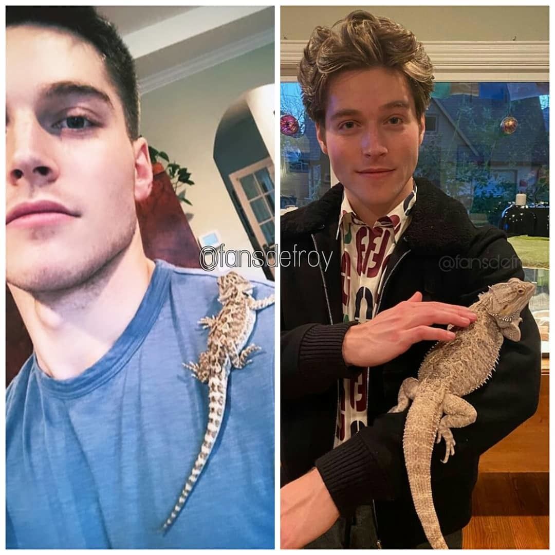 froy3.jpg