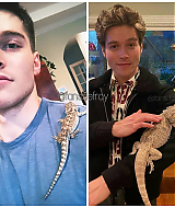 froy3.jpg