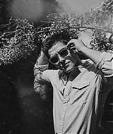008.jpg